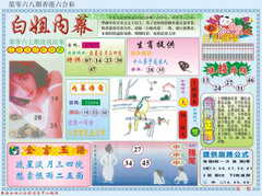 白小姐内幕A